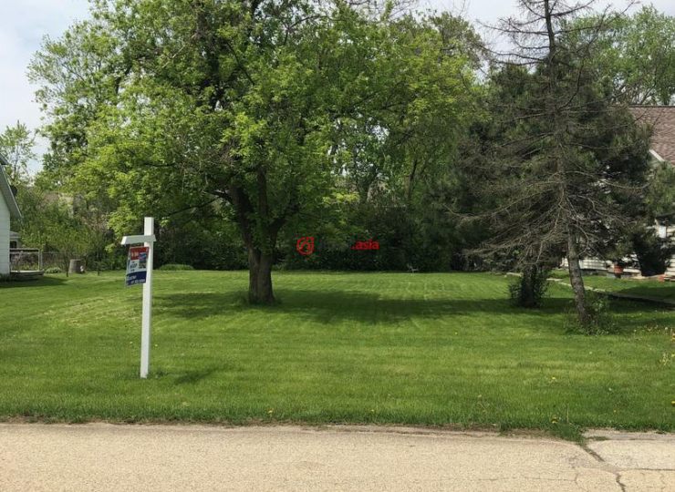 美国伊利诺伊州艾迪生的房产