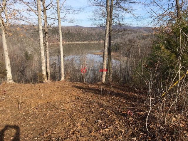 美国田纳西州monroe的房产