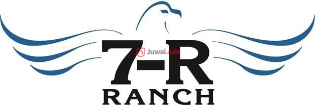 美国德克萨斯州戈登的房产