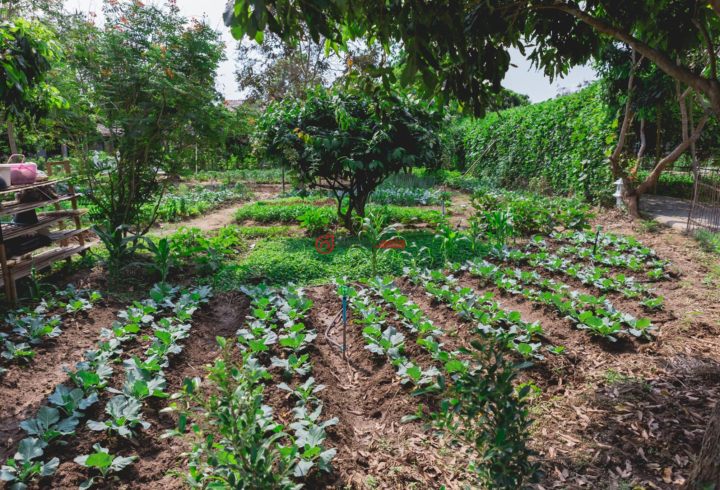 泰国的,unnamed road,编号39209002