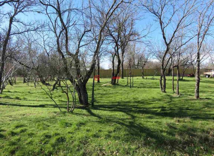 美国德克萨斯州格兰尼特肖尔斯的房产