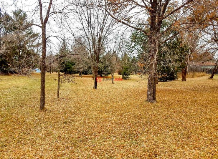 美国明尼苏达州park rapids的房产